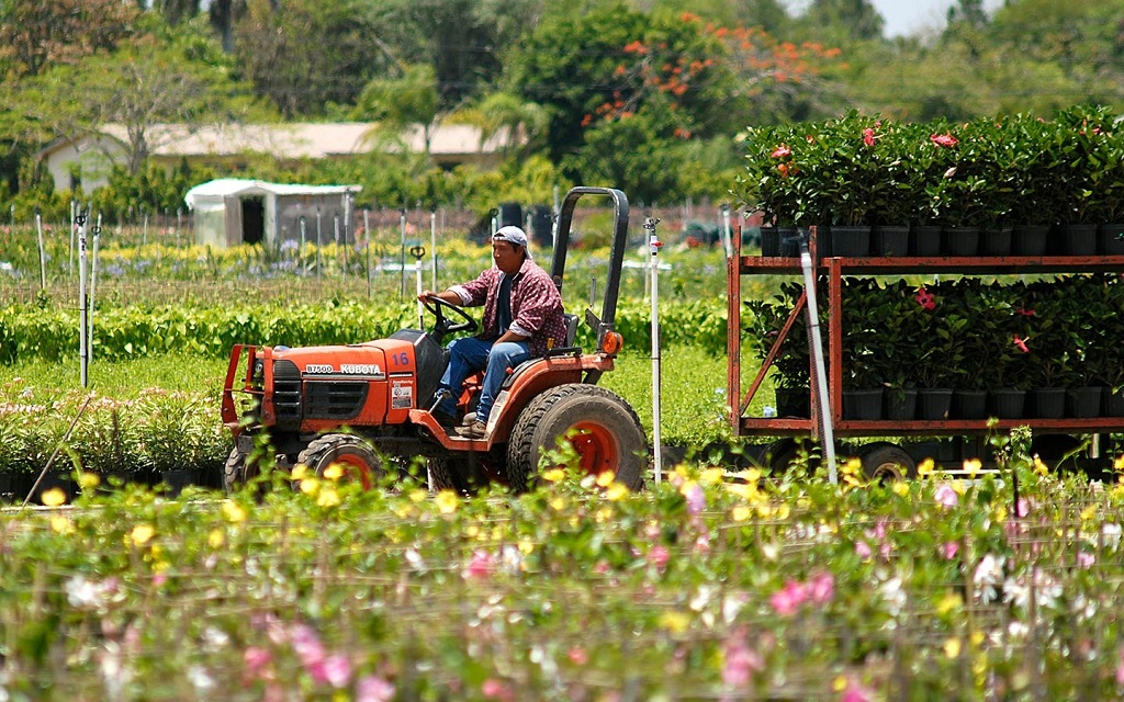 What is an organic garden approach