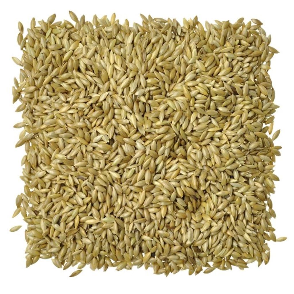 Yellow canary seed sprout nutritional profile