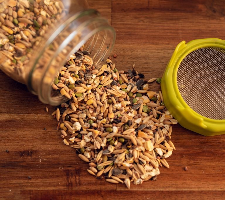 Canary Seed Sprout Nutritional Profile: The Superfood You Need to Try