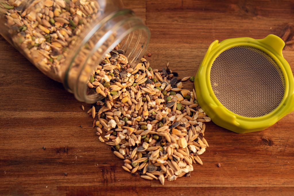 Brown canary seed sprout nutritional profile